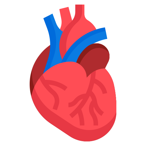 INICIO corazon